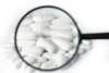 ¿Qué hacemos en Pro Pharma Research Organization?